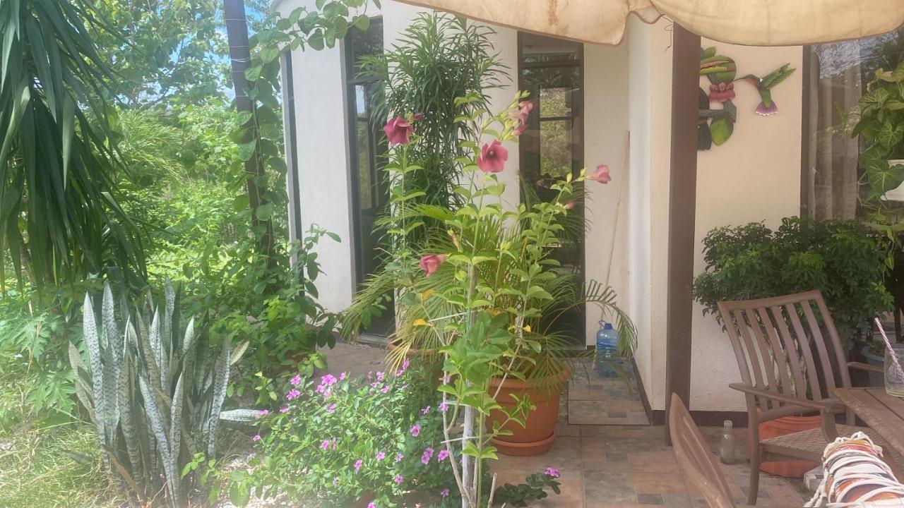 Villa Pura Vida Matapalo  Eksteriør bilde