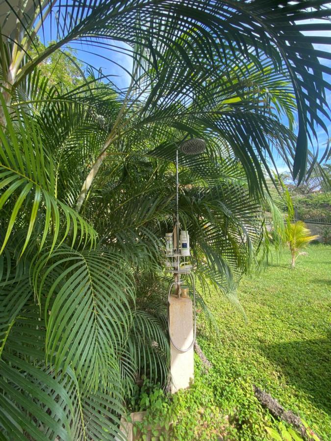 Villa Pura Vida Matapalo  Eksteriør bilde