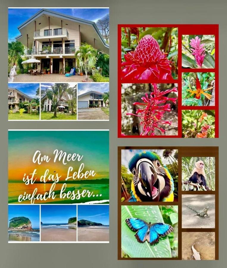 Villa Pura Vida Matapalo  Eksteriør bilde