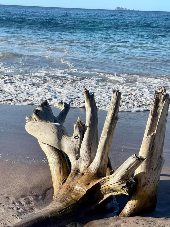 Villa Pura Vida Matapalo  Eksteriør bilde