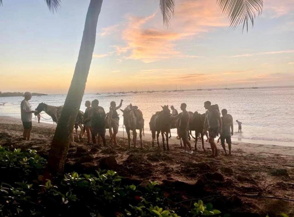 Villa Pura Vida Matapalo  Eksteriør bilde