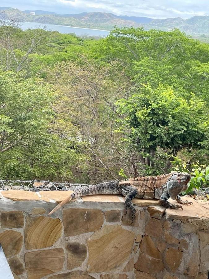 Villa Pura Vida Matapalo  Eksteriør bilde