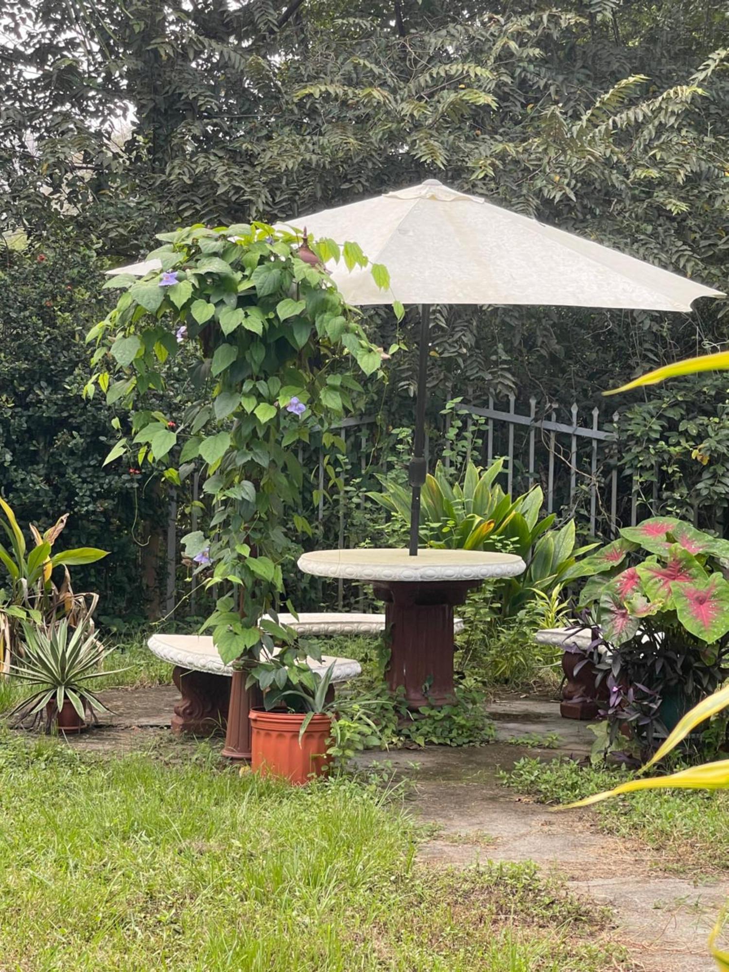 Villa Pura Vida Matapalo  Eksteriør bilde
